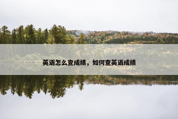 英语怎么查成绩，如何查英语成绩