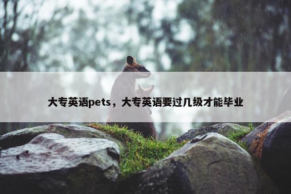 大专英语pets，大专英语要过几级才能毕业