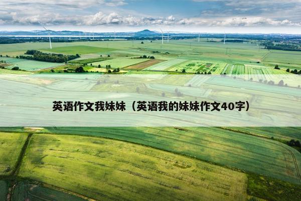 英语作文我妹妹（英语我的妹妹作文40字）
