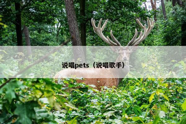 说唱pets（说唱歌手）