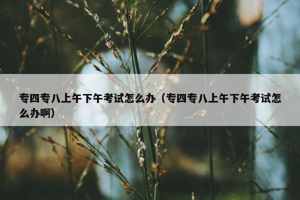 专四专八上午下午考试怎么办（专四专八上午下午考试怎么办啊）