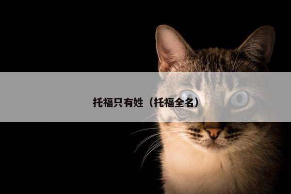 托福只有姓（托福全名）