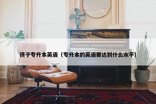 孩子专升本英语（专升本的英语要达到什么水平）