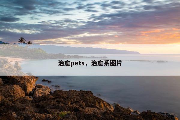 治愈pets，治愈系图片
