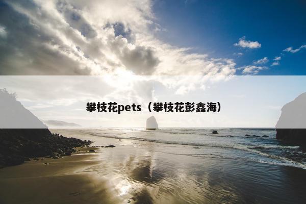 攀枝花pets（攀枝花彭鑫海）