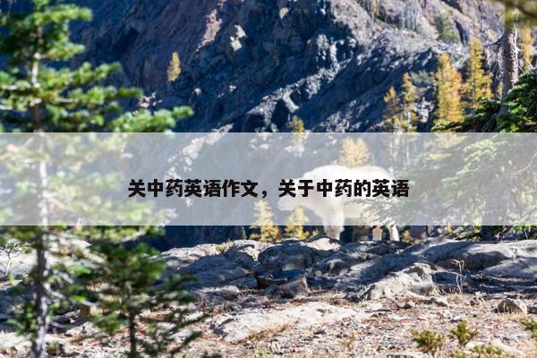关中药英语作文，关于中药的英语