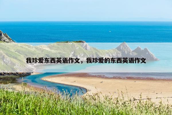 我珍爱东西英语作文，我珍爱的东西英语作文