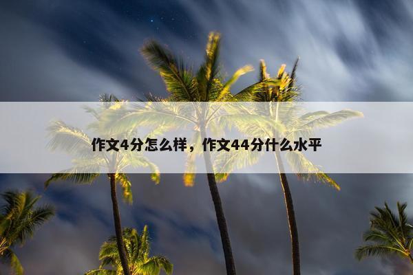 作文4分怎么样，作文44分什么水平