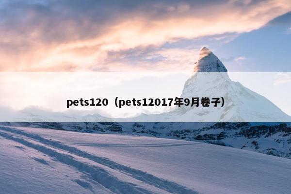 pets120（pets12017年9月卷子）