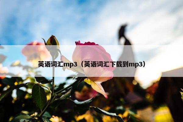 英语词汇mp3（英语词汇下载到mp3）