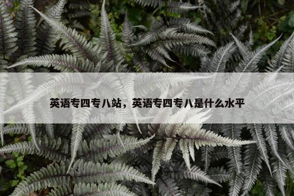 英语专四专八站，英语专四专八是什么水平