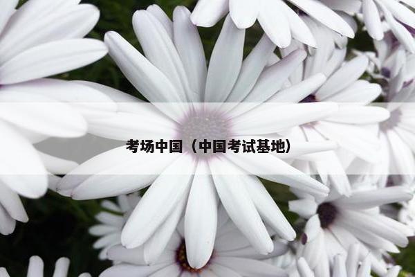 考场中国（中国考试基地）