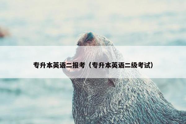 专升本英语二报考（专升本英语二级考试）