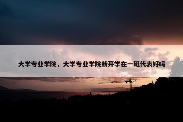大学专业学院，大学专业学院新开学在一班代表好吗
