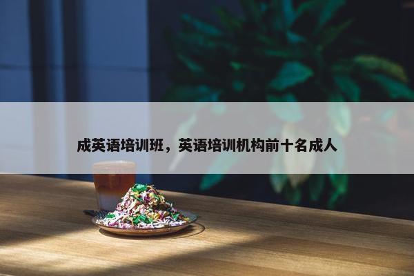 成英语培训班，英语培训机构前十名成人