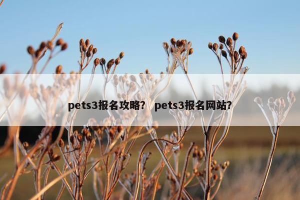 pets3报名攻略？ pets3报名网站？