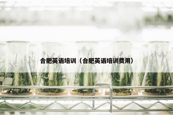 合肥英语培训（合肥英语培训费用）