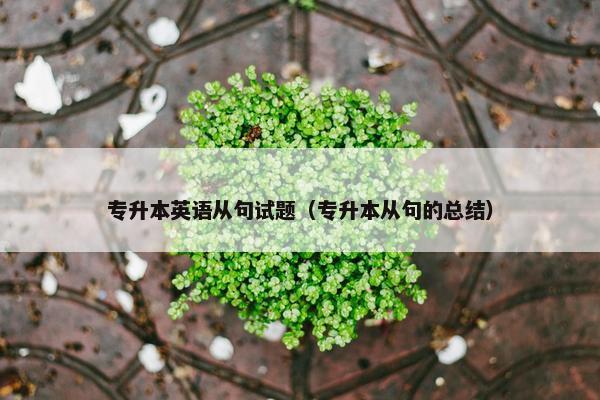 专升本英语从句试题（专升本从句的总结）