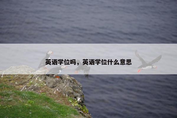 英语学位吗，英语学位什么意思