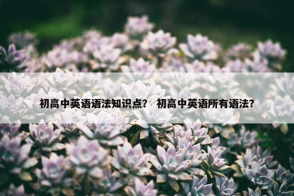 初高中英语语法知识点？ 初高中英语所有语法？
