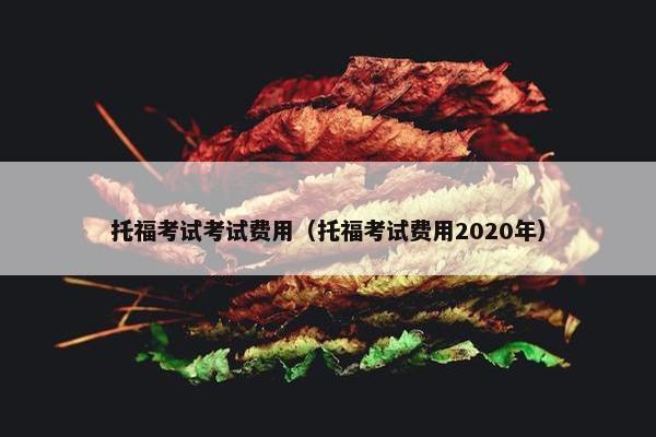 托福考试考试费用（托福考试费用2020年）