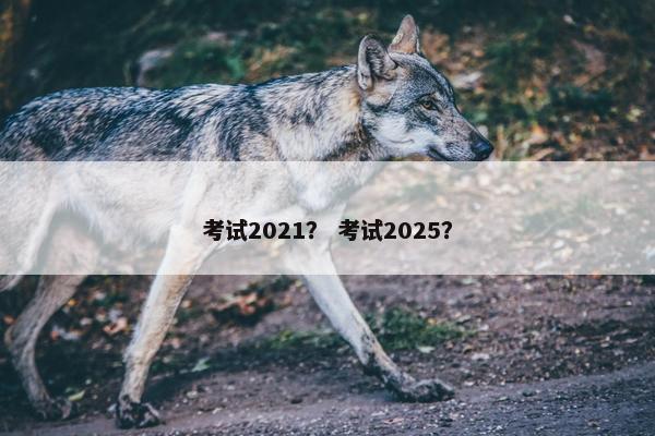 考试2021？ 考试2025？
