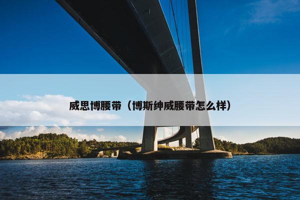 威思博腰带(博斯绅威腰带怎么样) 威思博腰带(博斯绅威腰带怎么样)