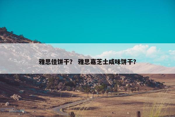 雅思佳饼干？ 雅思嘉芝士咸味饼干？