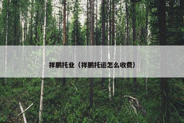 祥鹏托业（祥鹏托运怎么收费）