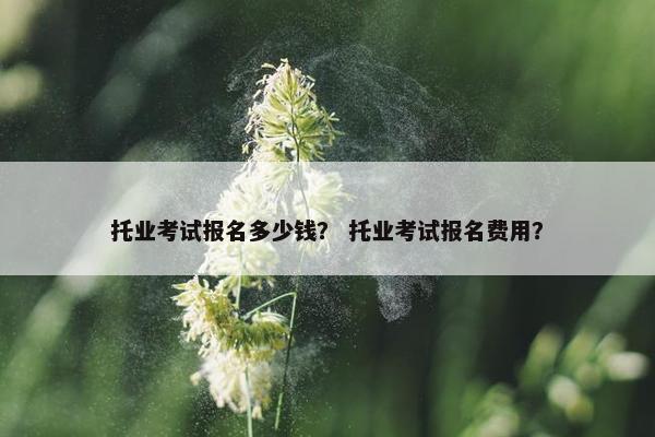 托业考试报名多少钱？ 托业考试报名费用？