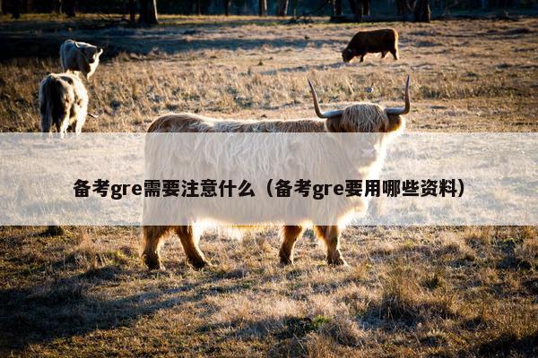 备考gre需要注意什么（备考gre要用哪些资料）