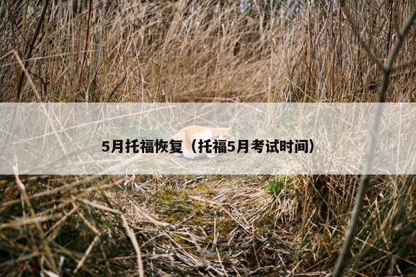 5月托福恢复（托福5月考试时间）