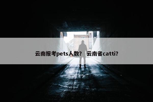 云南报考pets人数？ 云南省catti？