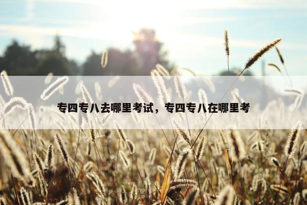 专四专八去哪里考试，专四专八在哪里考
