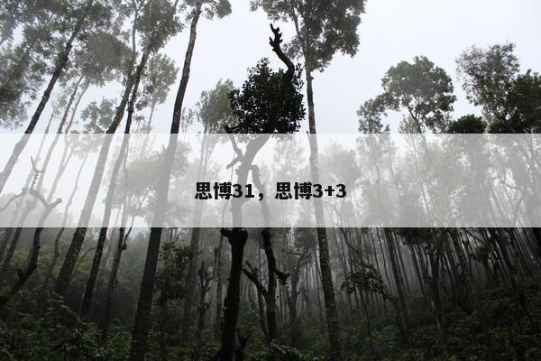 思博31，思博3+3