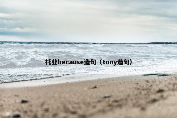 托业because造句（tony造句）