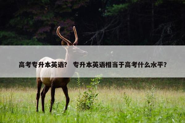 高考专升本英语？ 专升本英语相当于高考什么水平？