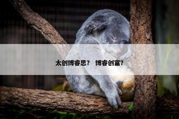 太创博睿思？ 博睿创富？