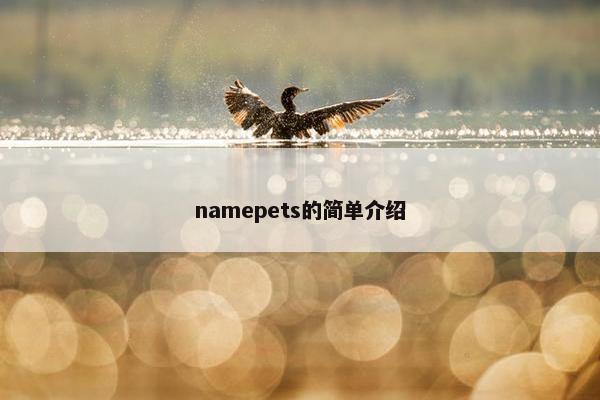 namepets的简单介绍