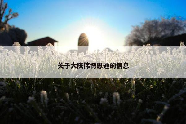 关于大庆伟博思通的信息