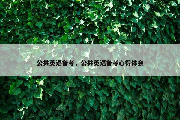 公共英语备考，公共英语备考心得体会