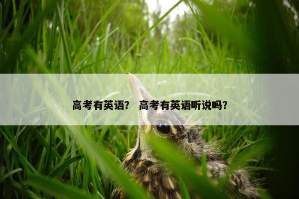 高考有英语？ 高考有英语听说吗？