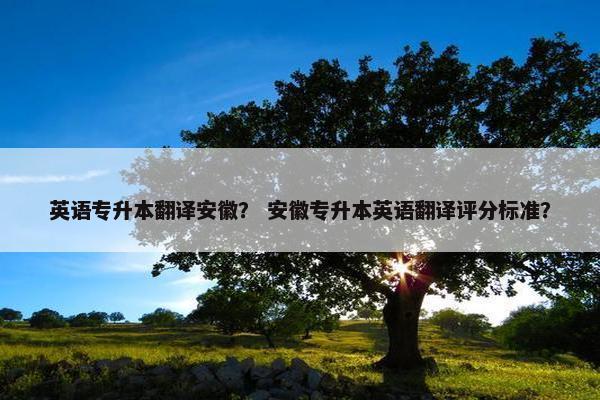 英语专升本翻译安徽？ 安徽专升本英语翻译评分标准？