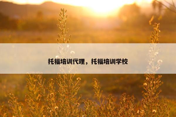 托福培训代理，托福培训学校