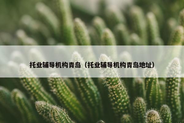 托业辅导机构青岛（托业辅导机构青岛地址）