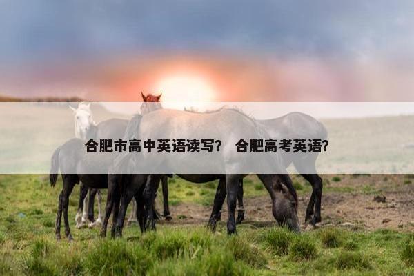 合肥市高中英语读写？ 合肥高考英语？