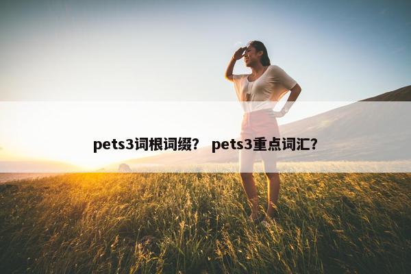 pets3词根词缀？ pets3重点词汇？