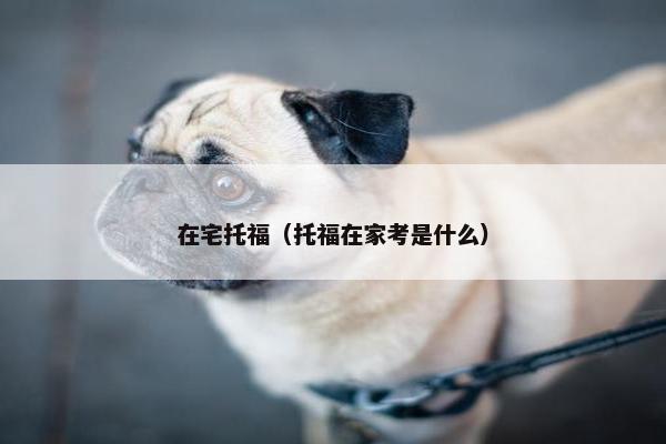 在宅托福（托福在家考是什么）
