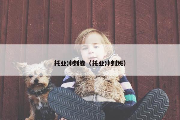 托业冲刺卷（托业冲刺班）