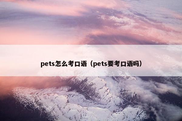 pets怎么考口语（pets要考口语吗）